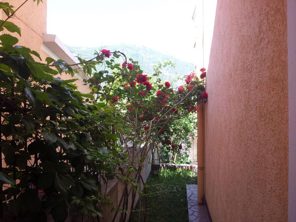 Apartments Popovic 2 Cattaro Esterno foto